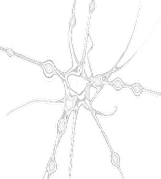 Those magnitudes are said to be commensurable which are measured by the same measure, and those incommensurable which cannot have any common measure. 