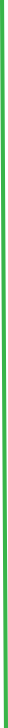 exuviae